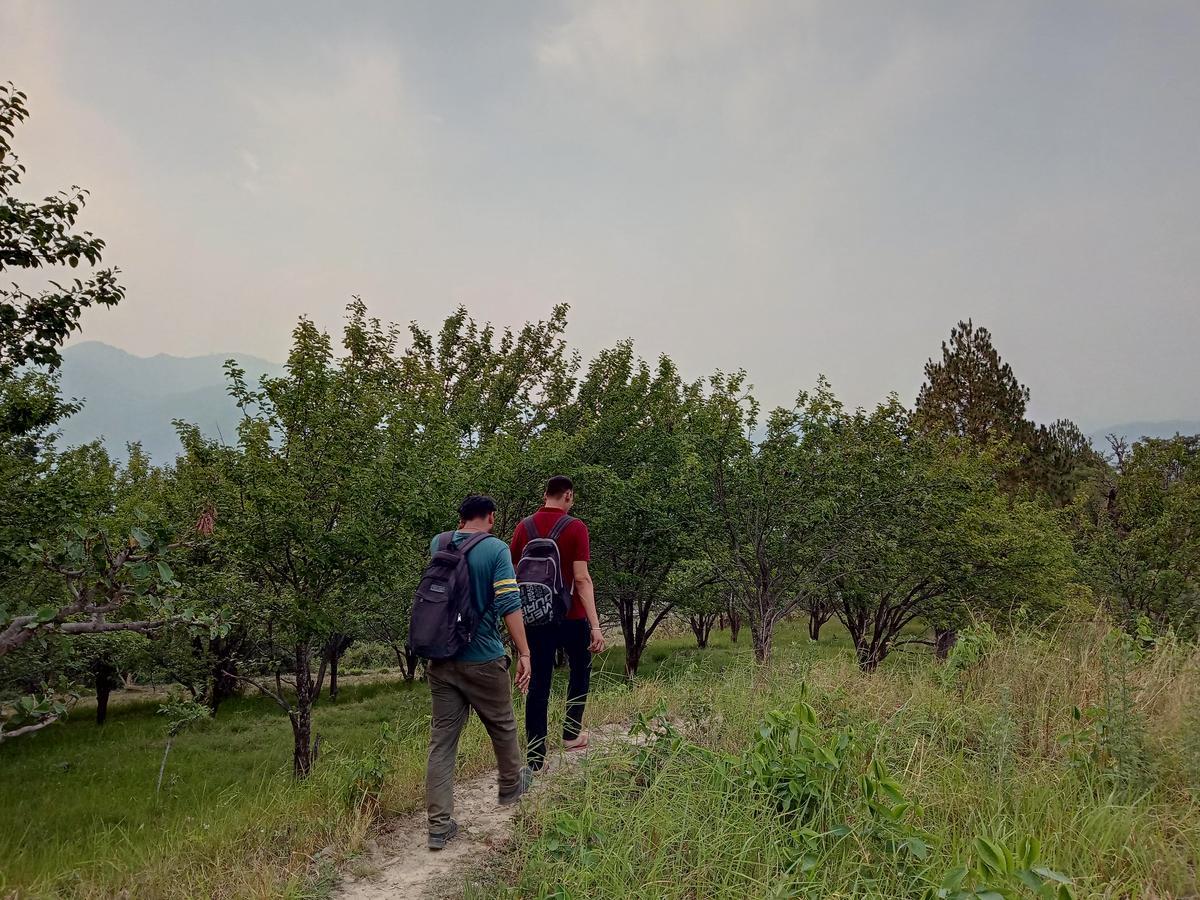 Vista Hostel Jeolikote, Nainital Patwa Dunga Екстер'єр фото