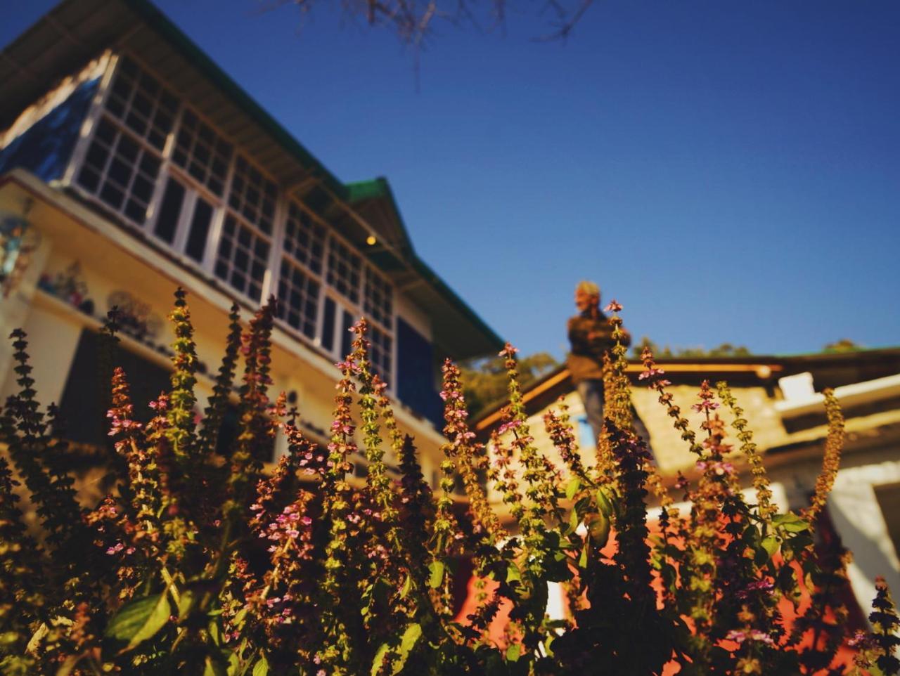 Vista Hostel Jeolikote, Nainital Patwa Dunga Екстер'єр фото