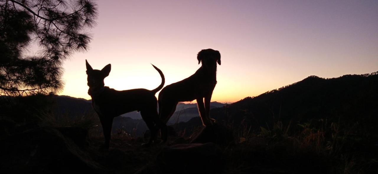 Vista Hostel Jeolikote, Nainital Patwa Dunga Екстер'єр фото